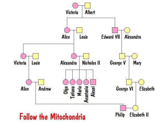queen elizabeth ii family tree. queen elizabeth ii family tree